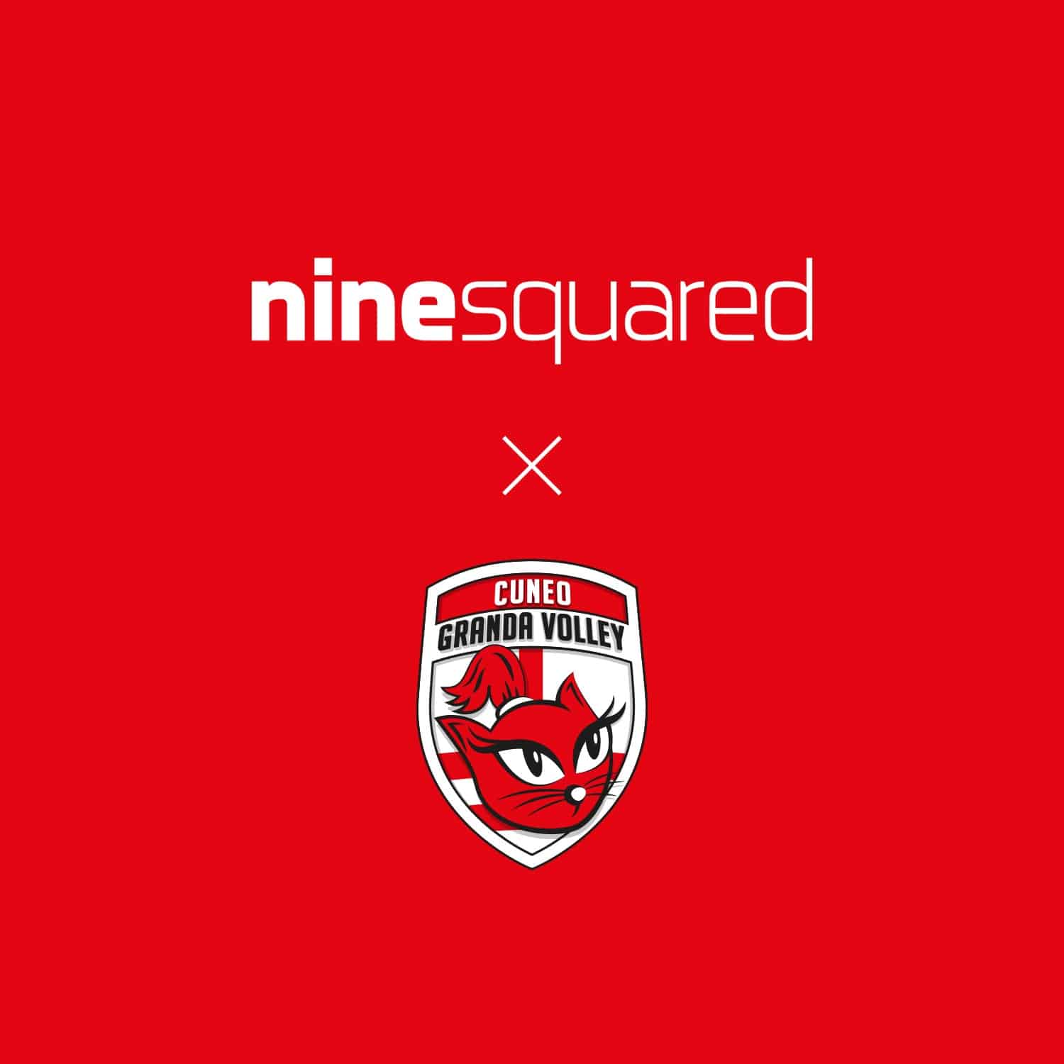 ninesquared-nouvel-equipementier-du-club-de-serie-a1-cuneo-granda-volley-1